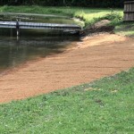 new beach area
